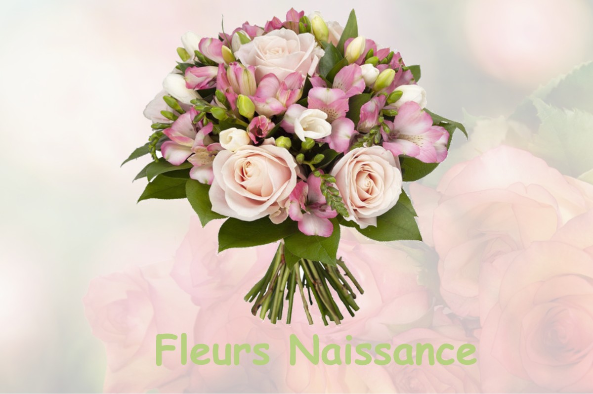 fleurs naissance BAZOILLES-SUR-MEUSE